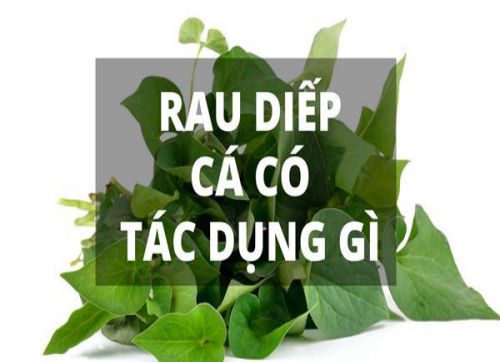 an-rau-diep-ca-co-tot-cho-gan-khong-7