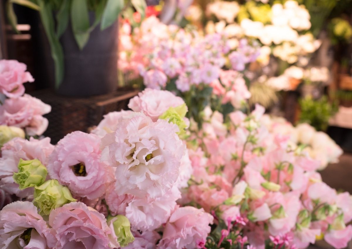 kinh-nghiem-mo-shop-hoa-tuoi-cho-nguoi-moi-bat-dau-3