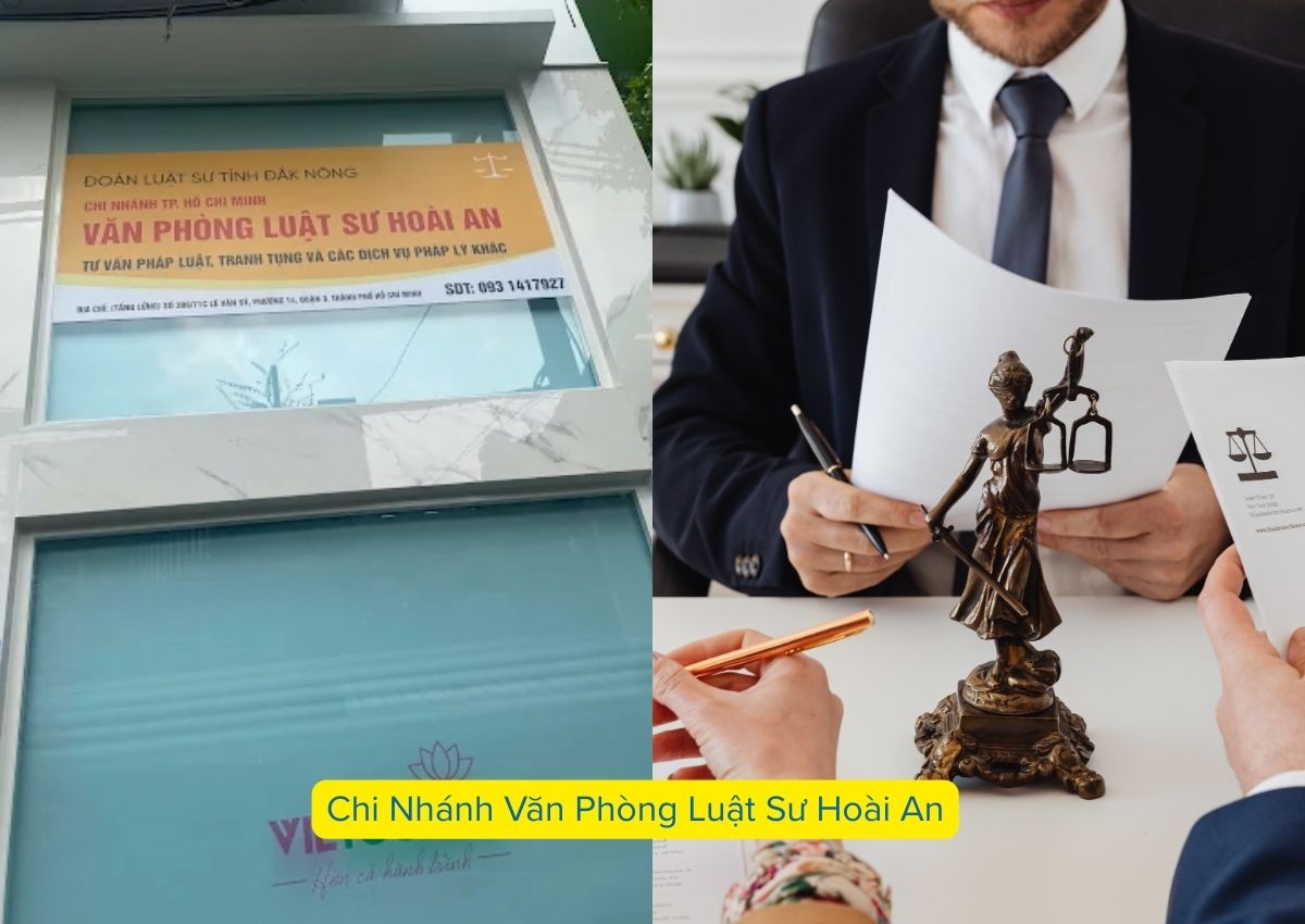 luu-ngay-top-10-van-phong-luat-su-quan-3-uy-tin-hien-nay-2