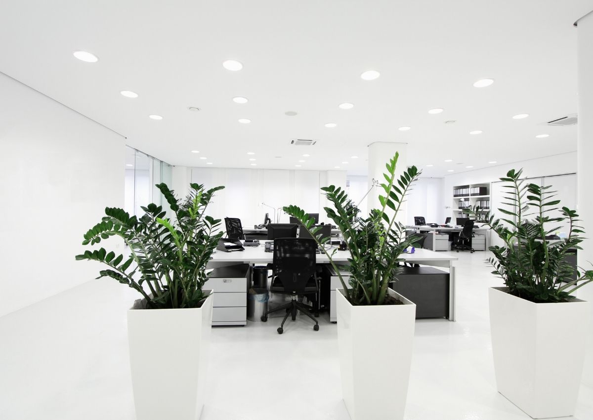 co-nen-thue-chung-cu-mini-lam-van-phong-khong-4