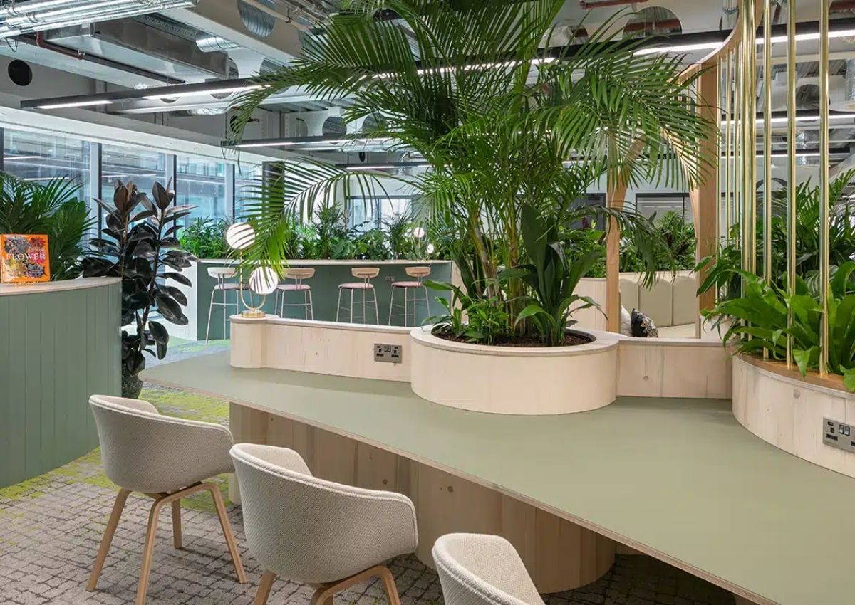 phan-loai-cac-loai-hinh-van-phong-pho-bien-hien-nay-6