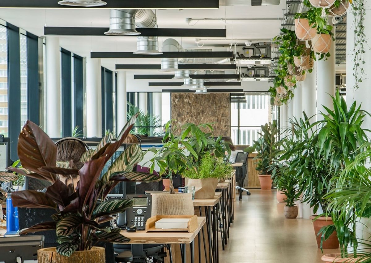 xu-huong-thiet-ke-van-phong-pho-bien-2025-2