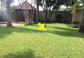 BÁN BIỆT THỰ 14A47 THẢO ĐIỀN THÀNH PHỐ THỦ ĐỨC
