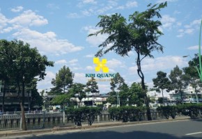 BÁN ĐẤT MẶT TIỀN VIEW SÔNG ĐƯỜNG HOÀNG SA QUẬN 3