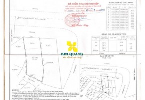 BÁN TÒA NHÀ 91B-91C HOÀNG SA