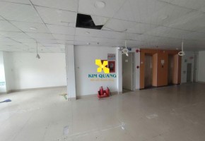 CHO THUÊ CẢ TÒA NHÀ 114 TRẦN ĐÌNH XU