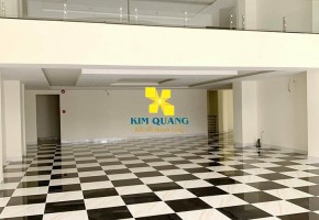 CHO THUÊ CẢ TÒA NHÀ 482-484A NGUYỄN THỊ THẬP