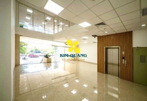 CHO THUÊ CẢ TÒA NHÀ 98-100 CỘNG HÒA TÂN BÌNH