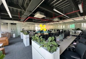 CHO THUÊ NGUYÊN TÒA NHÀ 167 TRẦN NÃO
