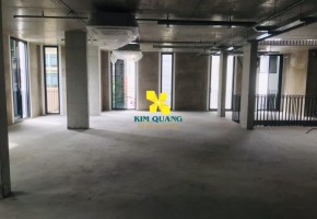 CHO THUÊ NGUYÊN TÒA NHÀ 195A HAI BÀ TRƯNG