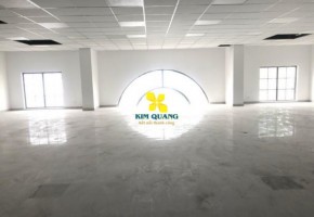 CHO THUÊ NGUYÊN TÒA NHÀ 20 HUỲNH LAN KHANH
