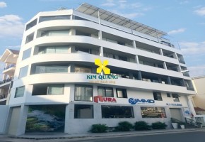 CHO THUÊ NGUYÊN TÒA NHÀ 26 HOÀNG KẾ VIÊM