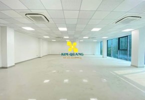 CHO THUÊ NGUYÊN TÒA NHÀ 39/3 TRẦN NHẬT DUẬT