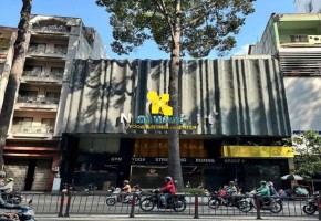 CHO THUÊ NGUYÊN TÒA NHÀ ĐƯỜNG BA THÁNG HAI