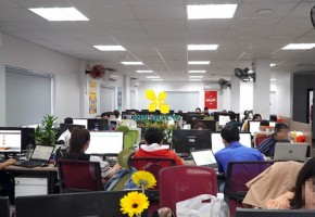 CHO THUÊ NGUYÊN TÒA NHÀ QUẬN TÂN BÌNH 21BIS HẬU GIANG