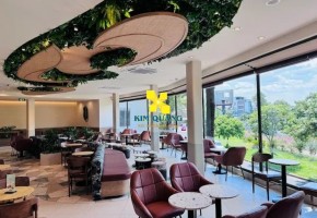 Cho Thuê nhà Mặt Tiền 803 Hoàng Sa Phường Nhiêu Lộc