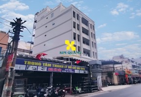 CHO THUÊ NHÀ NGUYÊN CĂN 347 NGUYỄN TRỌNG TUYỂN