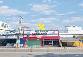 CHO THUÊ NHÀ NGUYÊN CĂN 500 NGUYỄN THỊ THẬP