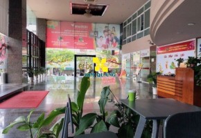 CHO THUÊ TÒA NHÀ 1 HOÀNG DIỆU QUẬN 4