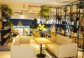 CHO THUÊ TÒA NHÀ MẶT TIỀN 50A TRƯƠNG QUỐC DUNG
