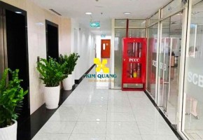 Cho thuê tòa nhà nguyên căn 242 Cống Quỳnh