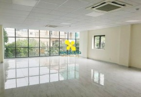 CHO THUÊ VĂN PHÒNG DELAS BUILDING 46 CỬU LONG