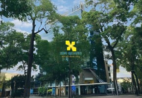 CHO THUÊ VĂN PHÒNG ENDOVINA TOWER 146 NGUYỄN ĐÌNH CHIỂU