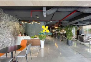 CHO THUÊ VĂN PHÒNG THE CENTRAL THẢO ĐIỀN 40 QUỐC HƯƠNG