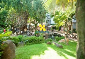 CHUYỂN NHƯỢNG BỆNH VIỆN ĐA KHOA MT PHAN VĂN TRỊ GÒ VẤP
