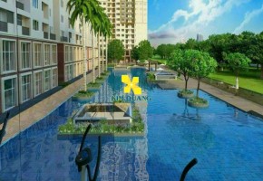 CHUYỂN NHƯỢNG DỰ ÁN CHUNG CƯ KHU ĐÔ THỊ ĐÔNG TĂNG LONG