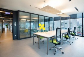 HANA ASIA SERVICED OFFICE LIM TOWER 1