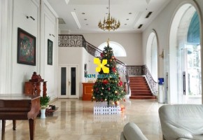 CHO THUÊ VĂN PHÒNG MERIN SUITES 151/1-151/2 NGUYỄN VĂN TRỖI