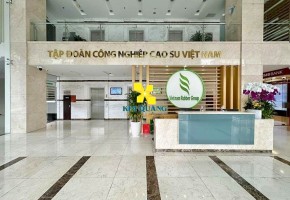 VĂN PHÒNG CHO THUÊ VRG BUILDING 177 HAI BÀ TRƯNG