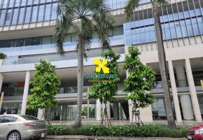 VĂN PHÒNG CHO THUÊ CRESCENT PLAZA 105 TÔN DẬT TIÊN