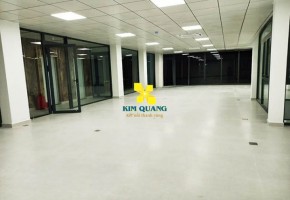 VĂN PHÒNG CHO THUÊ D8 THẤT SƠN NGUYỄN HƯNG BUILDING