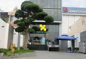 VĂN PHÒNG CHO THUÊ  ĐÔNG TÂY BUILDING 192 TRẦN NÃO