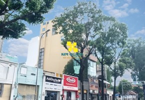 VĂN PHÒNG CHO THUÊ HOÀNG ĐAN BUILDING 241 ĐIỆN BIÊN PHỦ