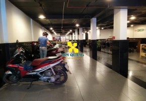VĂN PHÒNG CHO THUÊ IMM BUILDING 101 NGUYỄN ĐÌNH CHIỂU