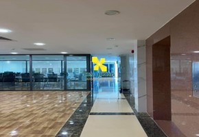 VĂN PHÒNG CHO THUÊ SOPHIE BUILDING 277B ĐỖ XUÂN HỢP