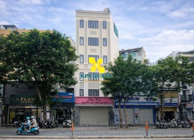 Cho Thuê Tòa Nhà 2MT 131 Nguyễn Cư Trinh Phường Cầu Ông Lãnh