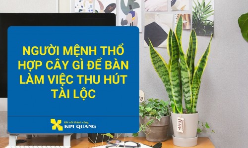 Người mệnh thổ hợp cây gì để bàn làm việc thu hút tài lộc