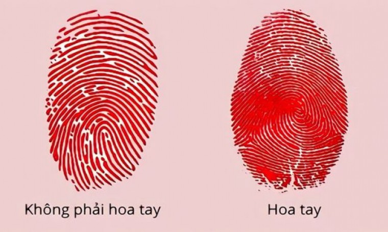 Hoa tay là gì? Số lượng hoa tay tiết lộ điều gì về bạn?