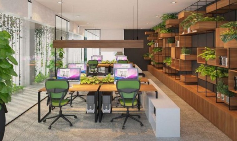 Những lợi ích của việc trồng cây cảnh trong tòa nhà văn phòng